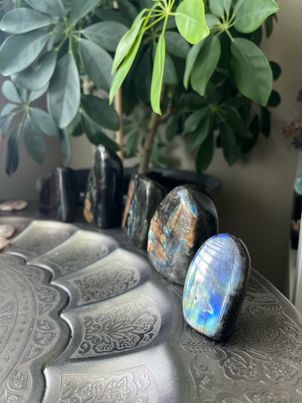 Labradorite Freeform - Picture 3 of 5
